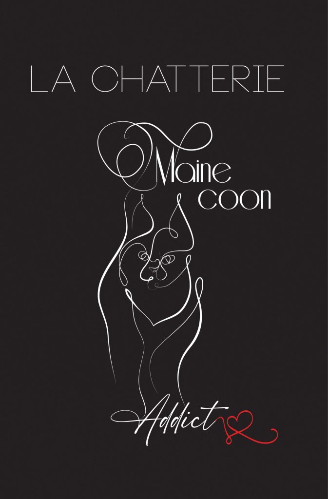 Logo réalisé pour La Chatterie Maine Coon Addict
